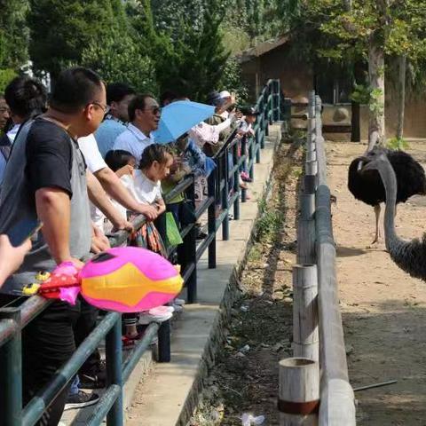 大连森林动物园几月份去好的长尾关键词有什么