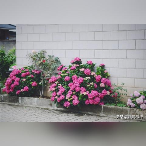 常熟四季花园酒店苏州市