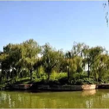 无锡市哪里有收古玩