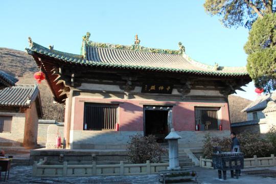 山西长治长子县国保崇庆寺，紫云山山麓，宋代千年牡丹芳香四溢