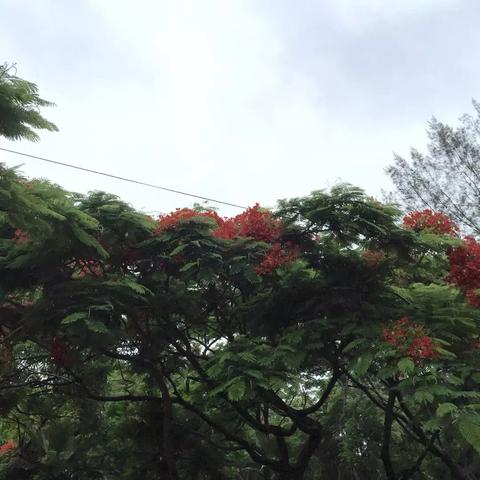 厦门市一海在哪里
