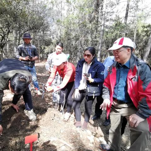 广州市荔湾区新什么镇