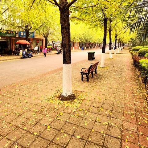 【桂林今日黄金价格】2025年9月8日桂林黄金价格是多少