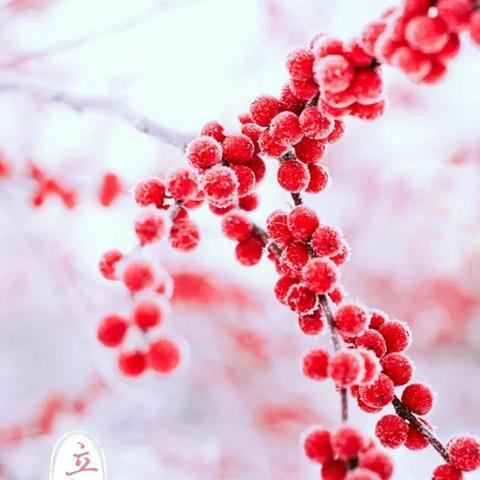 上海立冬的风俗有哪些