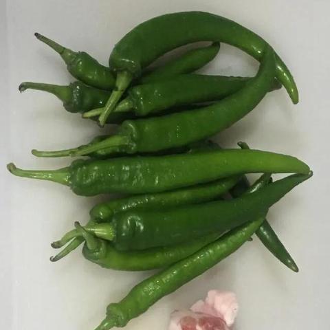 哈尔滨韩国人炸酱面相关长尾关键词有哪些