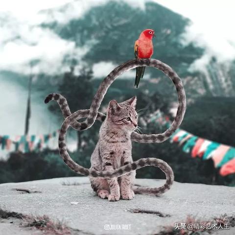 ps加入ai人工智能的相关长尾关键词有哪些