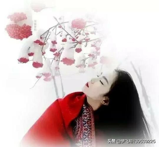夜已沉默，心事向谁说？一场灵魂的漂泊在路上，不问东西向前走