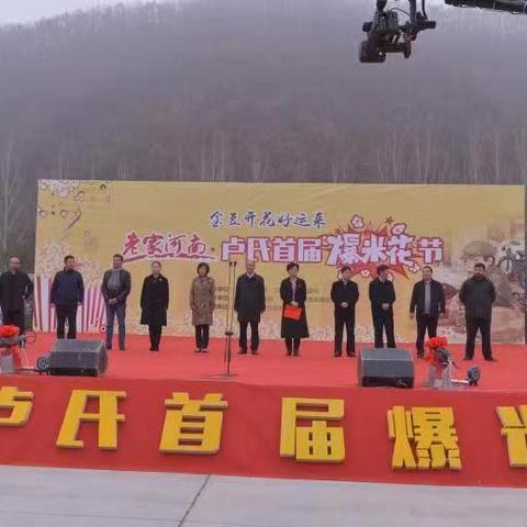 河南什么树冬季开花结果