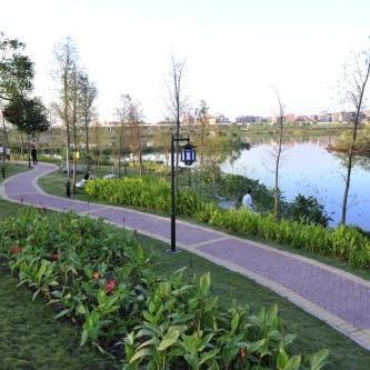 广州市新出来的地方叫什么