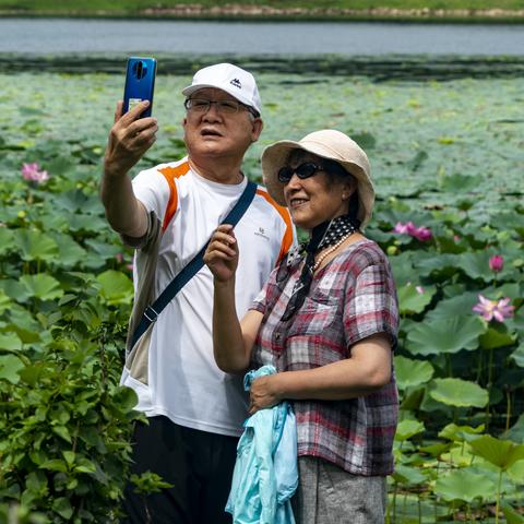 沈阳市疫情防控表怎么填