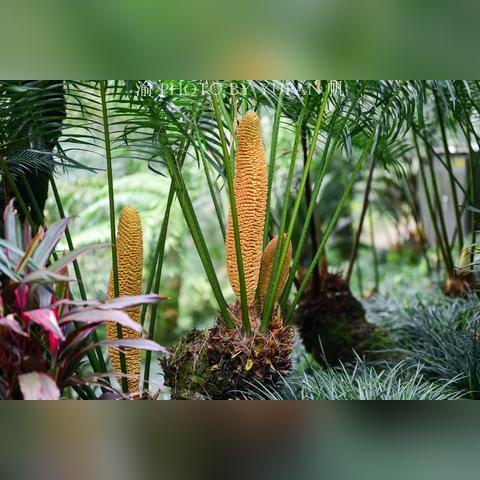 南宁市公园人少了怎么办