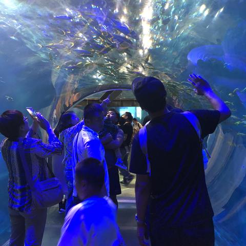 大连老虎滩开放时间的相关长尾关键词有哪些