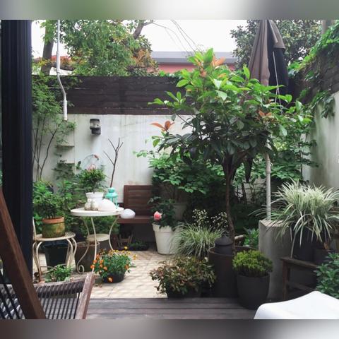 上海市学区有哪些