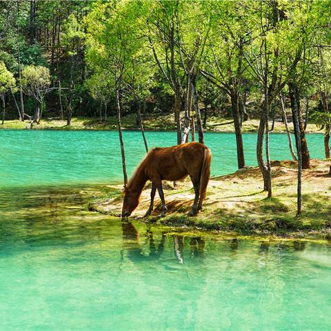 丽江近期天气预报的长尾关键词有什么