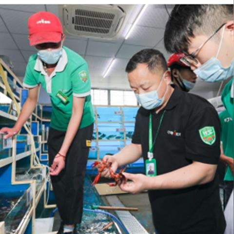 叮咚为什么退出厦门市场