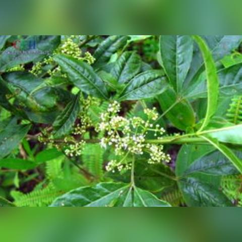 安徽跟福建哪个潮湿