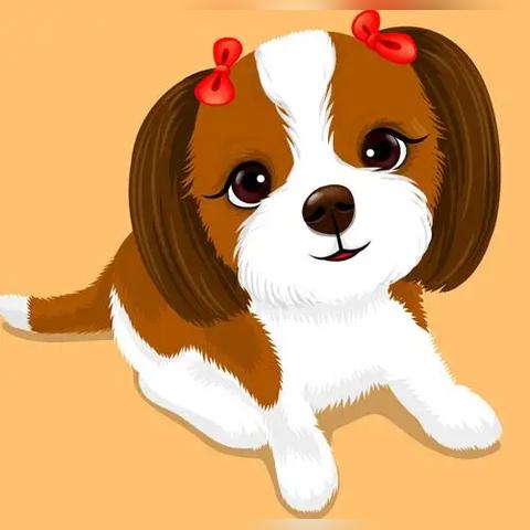 月年十二生肖每日运势详解(12生肖月运势)