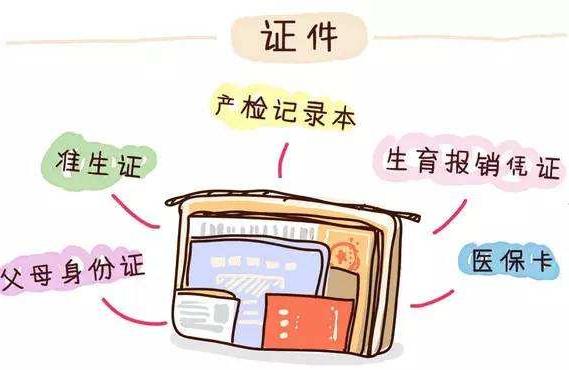 生了宝宝怎么起名字(给猫咪取名字有用吗)