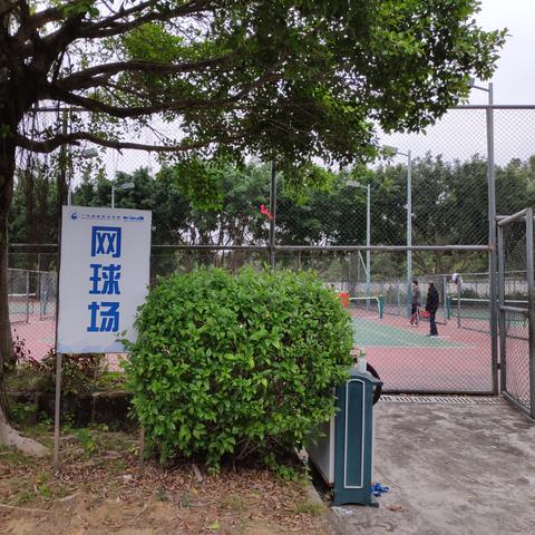 广州市什么时候会冷