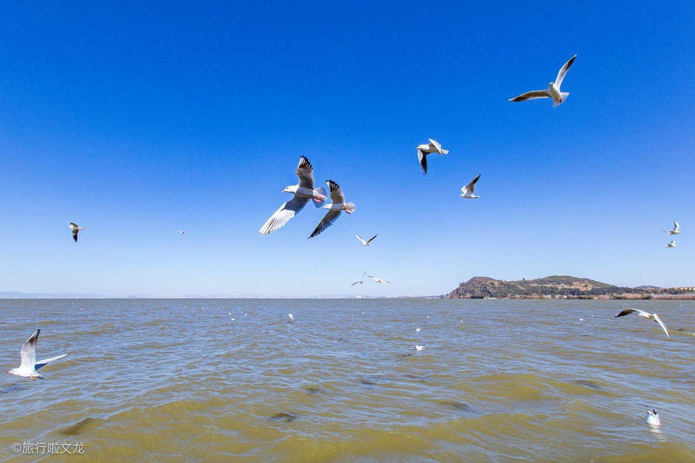 云南昨日新增确诊病例9例
(云南昨日新增确诊病例9例详情)-图1 云南昨日新增确诊病例9例
(云南昨日新增确诊病例9例详情)-图1