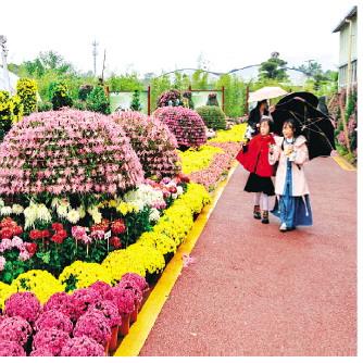 桂林市园林局在什么区