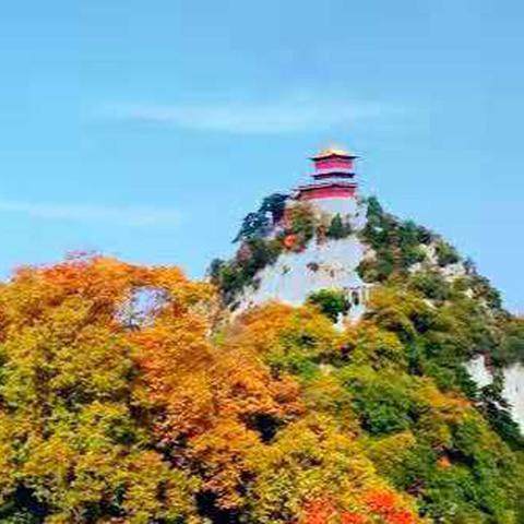 西安市4险怎么交