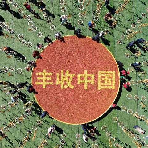 河南什么节气收玉米的相关长尾关键词有哪些