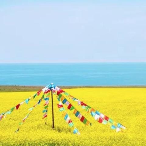 成都市三元地铁站看油菜花收费吗的长尾关键词有哪些