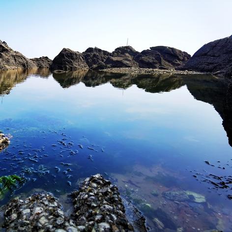 大连市哪个海边