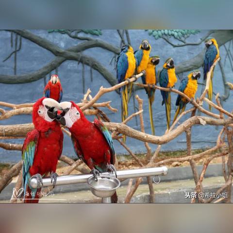 泉州市公园游乐场在哪里