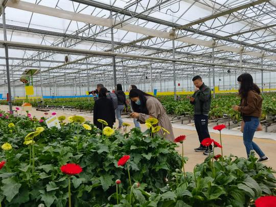 鲜花铺开致富路~开远打造世界一流“绿色食品牌”引中央及省州媒体关注~