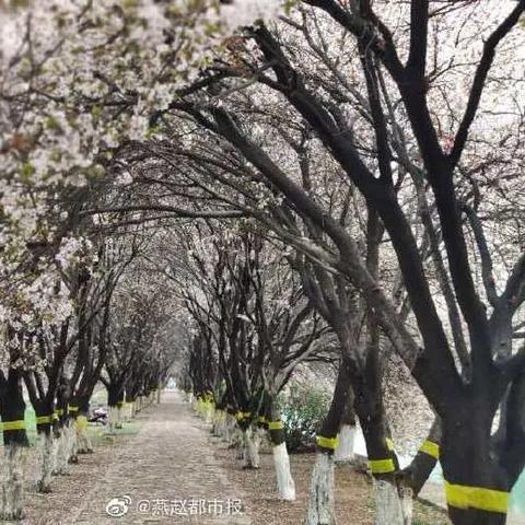 石家庄市是什么水系