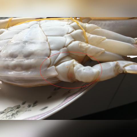 宁波硬年糕的长尾关键词有什么