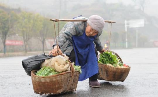 农村的老人种田养老难，渴望能够退休安享晚年，就是在无理取闹吗