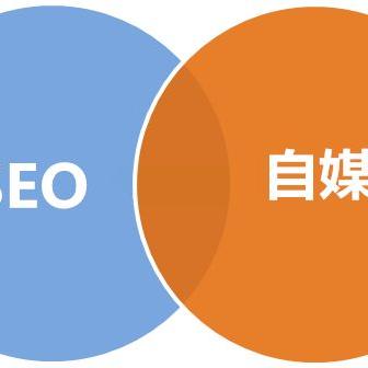 检测seo什么意思