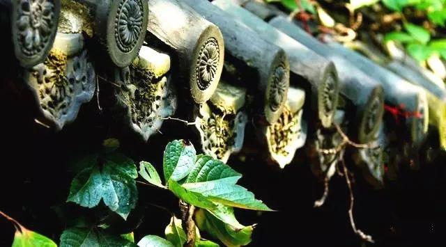 关于小暑的古诗