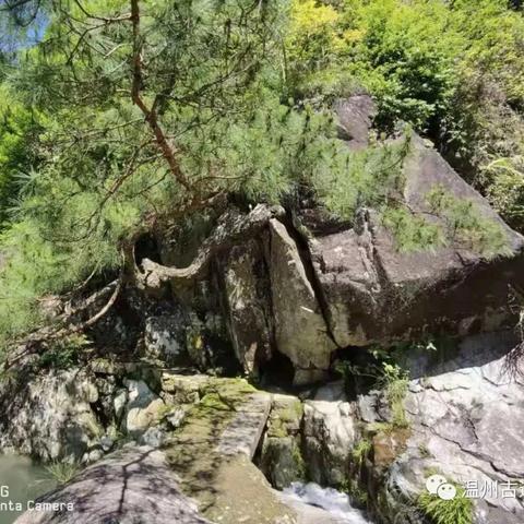 浙江温州市美缝批发厂家的长尾关键词有哪些