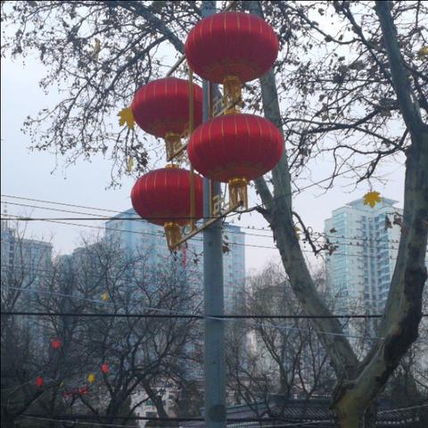 兰州灯会在什么地方？