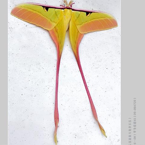 龙岩跨境电商平台系统 衍生的长尾关键词有哪些 