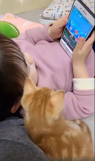 女儿宅家刷短视频，一旁的橘猫看得津津有味：别划走，我瞅瞅呢