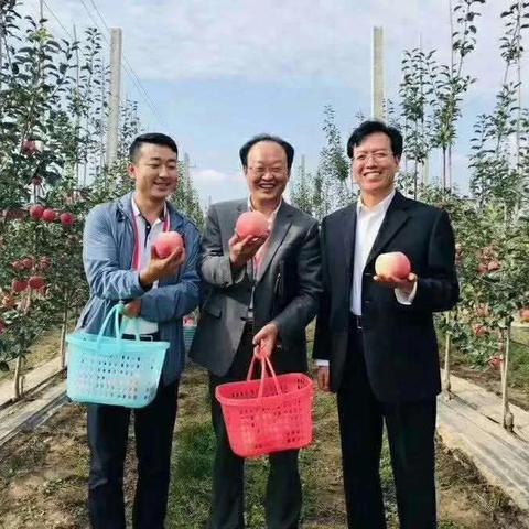 兰州市和庆阳市哪个好点