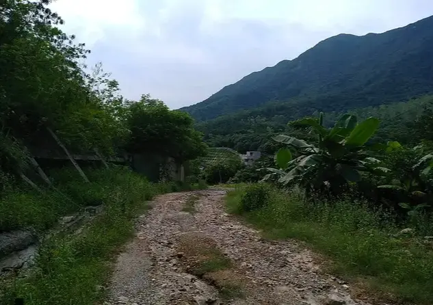 一个人做什么生意最赚钱 一个人在家做什么赚钱