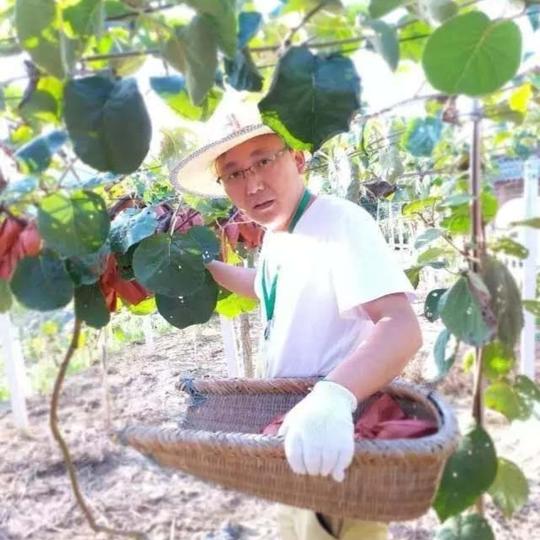 返乡创业，到深圳找个剩女当老婆回老家一起干，成功几率翻倍