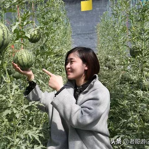 济南市是什么气候特征