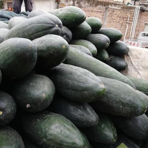 保定市到新疆快递费多少