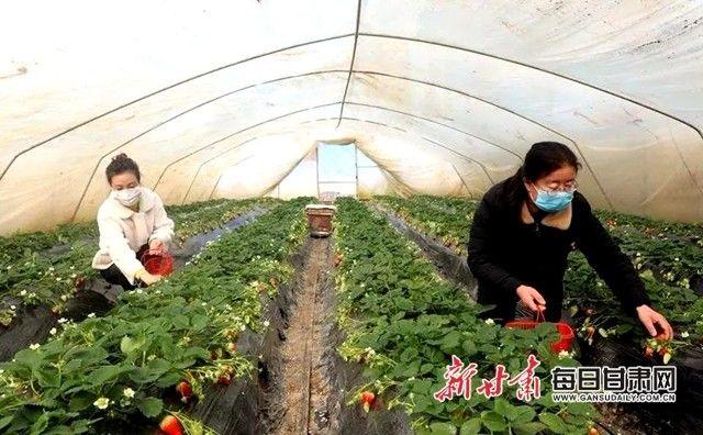 甘肃疫情最新数据消息
,甘肃疫情最新数据消息今天新增 甘肃疫情最新数据消息
,甘肃疫情最新数据消息今天新增