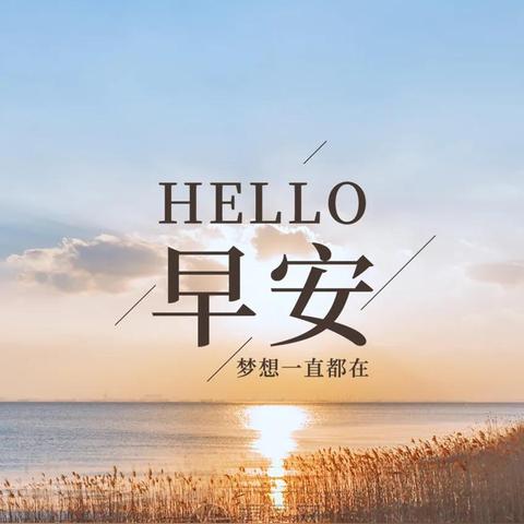 5月17日的生肖运势如何(2021年5月17日生肖)