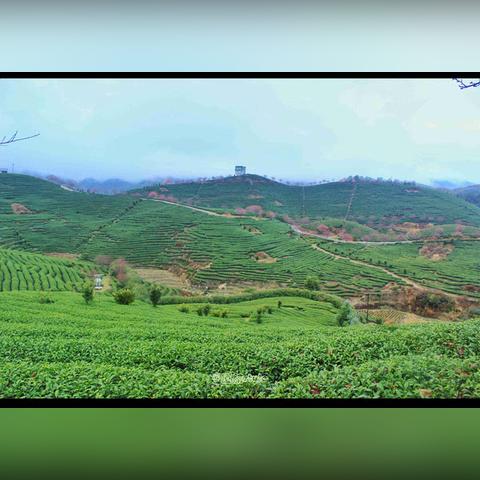 福建旅游签证怎么样