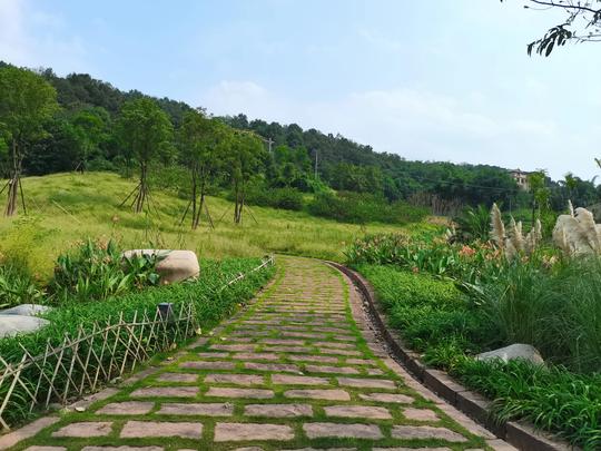 重庆这条冷门线路，中秋节足够玩一天，你敢“走”吗