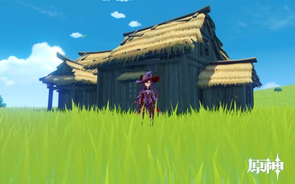 原神怎么放人物在家园(原神主角是随机的吗)